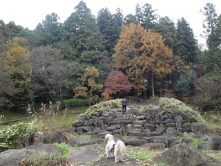 09-11-24-7.jpg