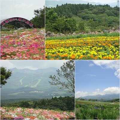 09-6-23-3.jpg
