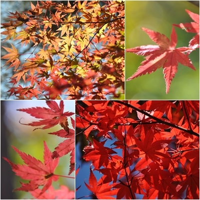 10-11-3-6.jpg